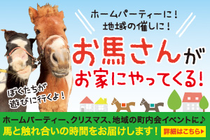 馬と触れ合いの時間をお届けします