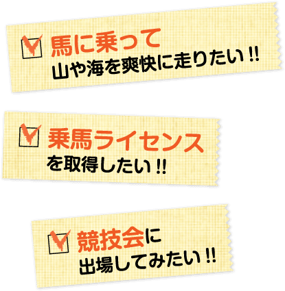 馬に乗って山や海を爽快に走りたい!!乗馬ライセンスを取得したい!!競技会に出場してみたい!!